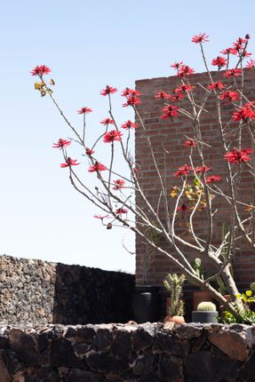 Sonoro House