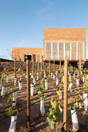 Sonoro House