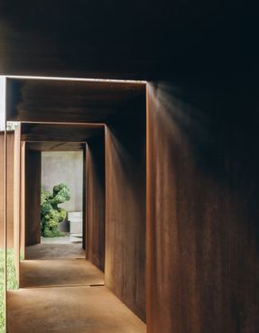 Floral Wander Loop