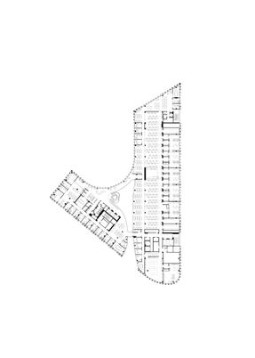 The Ragon Institute