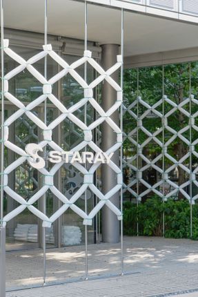 Staray Store
