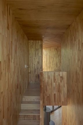 Cabin In The Buenos Aires Delta