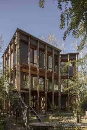 Cabin In The Buenos Aires Delta