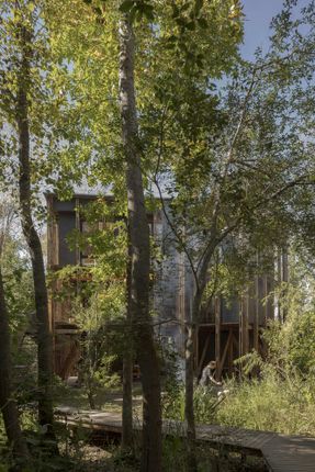 Cabin In The Buenos Aires Delta