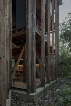 Cabin In The Buenos Aires Delta