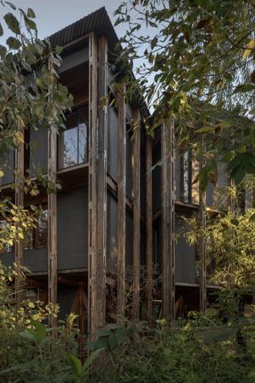 Cabin In The Buenos Aires Delta