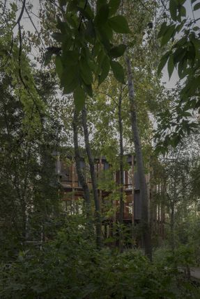 Cabin In The Buenos Aires Delta