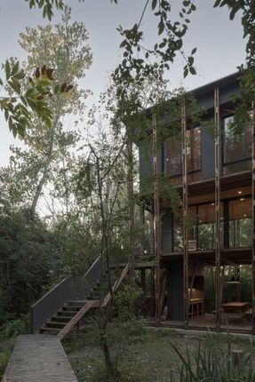 Cabin In The Buenos Aires Delta
