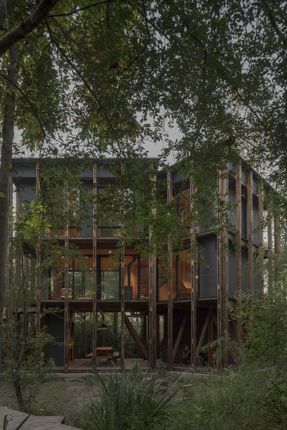 Cabin In The Buenos Aires Delta