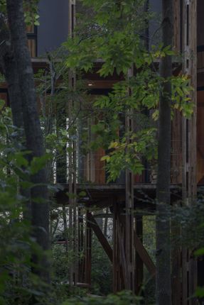 Cabin In The Buenos Aires Delta