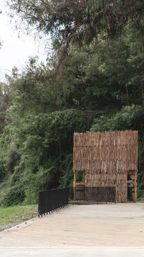 Hito Entrelazos Watchtower
