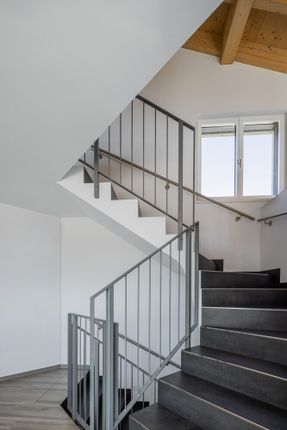 Swisshouse XL