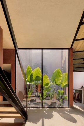 House Roja