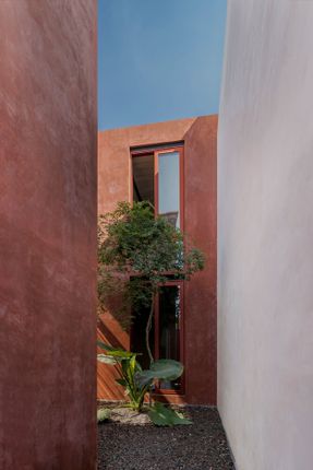 House Roja