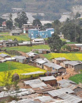 The School Of Social Development