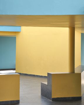 The School Of Social Development