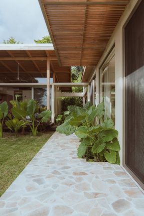 House Solomia