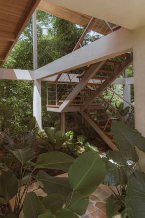 House Solomia