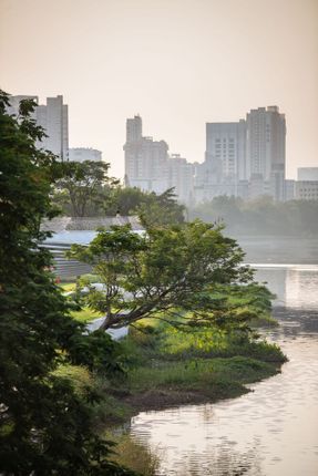 Pazhou South Waterfront Park
