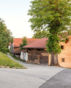 House With An Elevated Roof