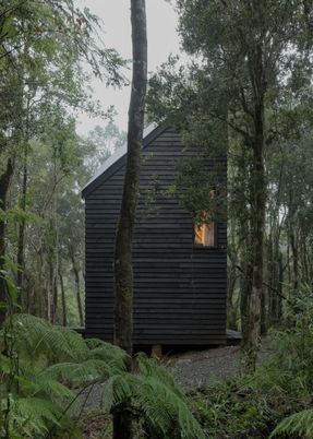Refugio Calfuco