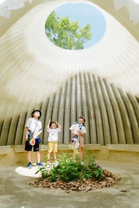 Osaka Expo 2025 Foresting Architecture Pavilion