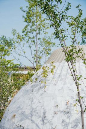 Osaka Expo 2025 Foresting Architecture Pavilion
