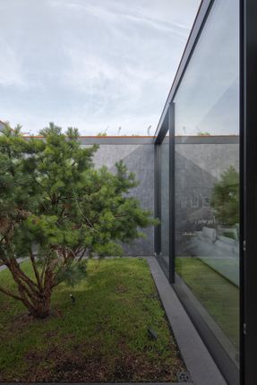 House In The Slope