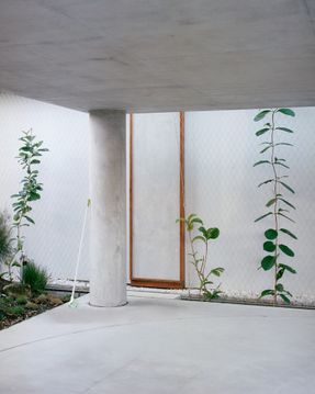 Birdwood House