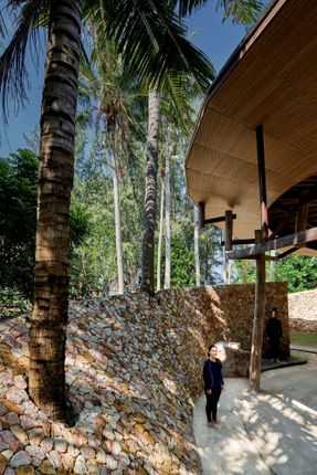 Coconut Wellness Garden