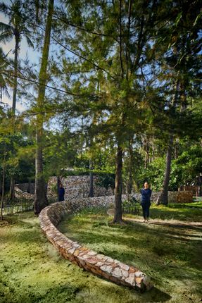 Coconut Wellness Garden
