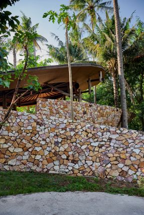 Coconut Wellness Garden