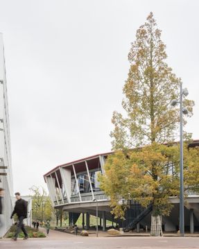 Leiden University Lecture Hall