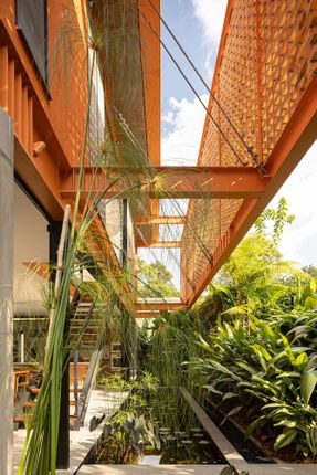 Pupunha House