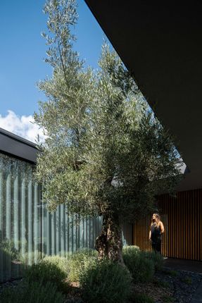 Hillside House