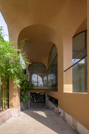 The Jungle Residence