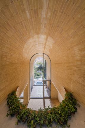 A House Looking to A Cedrus Tree