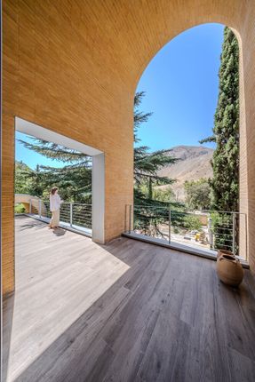 A House Looking to A Cedrus Tree