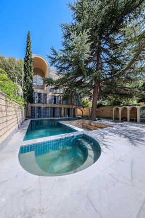 A House Looking to A Cedrus Tree