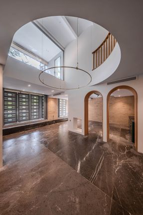 A House Looking to A Cedrus Tree