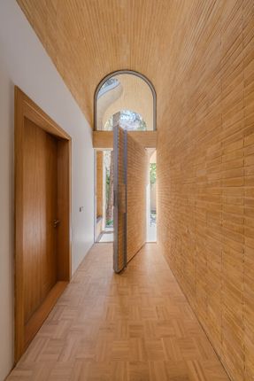 A House Looking to A Cedrus Tree