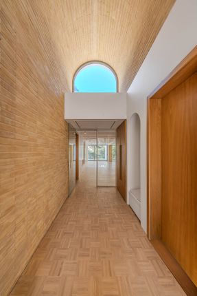 A House Looking to A Cedrus Tree