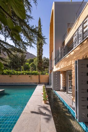 A House Looking to A Cedrus Tree