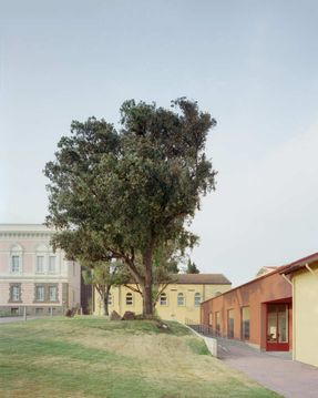 M. Sironi Academy Of Fine Arts