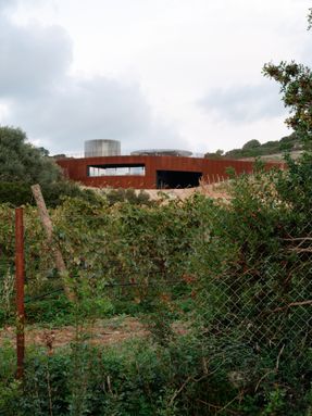 Winery Tenute Maestrale