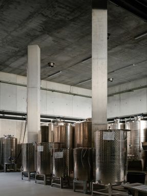 Winery Tenute Maestrale