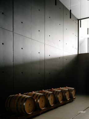Winery Tenute Maestrale