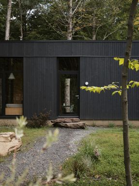 Spinone House
