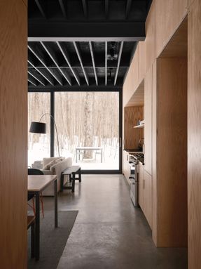 Spinone House