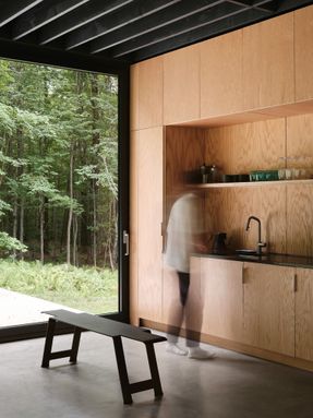 Spinone House